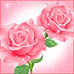  <b>Розовые</b> розы 