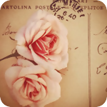  Две нежные розы лежат на <b>старой</b> почтовой открытке 