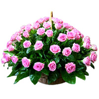  Большой букет розовых роз с достаточным количеством <b>зелени</b> 