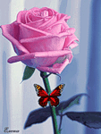 Розовая роза с бабочкой