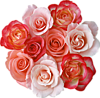  Розы - <b>букет</b> для любимых 