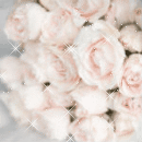 Букет нежно-белых роз