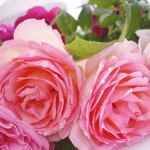  Розовые розы лежат у <b>кровати</b> 