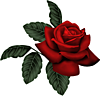  <b>Прекрасная</b> роза в подарок 