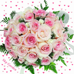  Розы бело-розовые и с <b>бликами</b> 