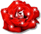  <b>Блестящая</b> роза 