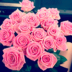 Букет розовых роз блестит