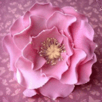  <b>Нежно</b> - розовая роза 