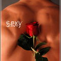 Роза на спине, sexy