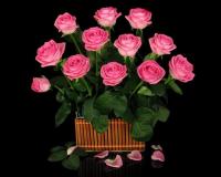 Букет розовых роз. 12 шт