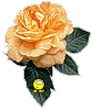  Шикарная роза со <b>смайликом</b> 