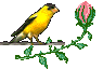  Птица с цветком 