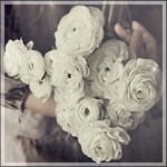  Белые розы в <b>руках</b> 