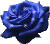 Роза с бликами синяя