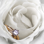  <b>Белая</b> роза с кольцом 