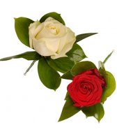 Розы - символ праздника, украшение одежды (9)