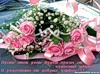 Букет розовых роз с пожеланием