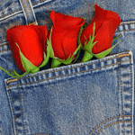 Три красных розы в джинсовом кармане