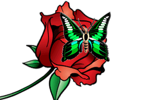 <b>Роза</b> с бабочкой 