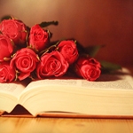  Букет красных роз лежит на <b>книге</b> 