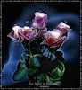 Букет розовых роз на синем фоне