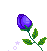  <b>Синий</b> цветок 