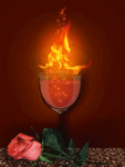 Огненный коктейль и красная роза