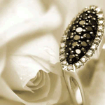 Белая роза с красивой брошкой