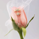Роза невеста
