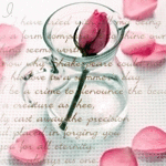 Роза в стеклянном кувшине, окруженная опавшими лепестками