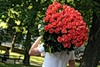 Молодой человек несет букет красных роз