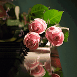 На пианино лежат три розовые розы