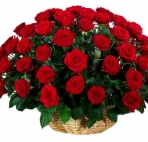 Букет прекрасных красных роз (3)