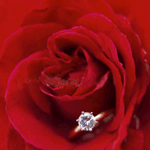 Роза и кольцо