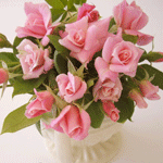 Розовые розы в вазе расцветают