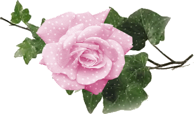 Роза розовая с листочками