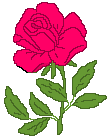 Мигающая роза