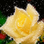 Желтая роза на фоне звездного неба