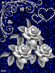 Белые розы на синем пересивающемся фоне