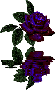 Синяя роза с искринкой