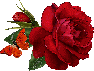 Роза с бабочкой