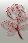 Нарисованная роза