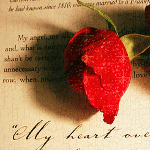 Красная роза на дневнике ( my heart ...)
