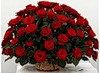 Букет красных роз полушаром