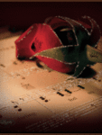 Роза и ноты