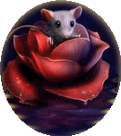 Мышонок плывёт по воде в бутоне розы
