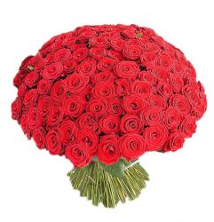 Букет прекрасных красных роз (18)
