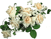 Белые розы. Букет
