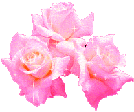 Трио. Розовые розы