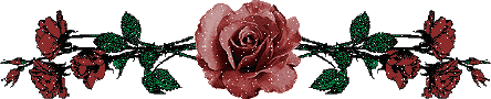 Ленточка из роз